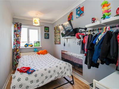 Picture 12